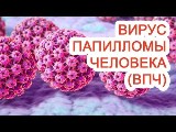 Вирус папилломы человека (ВПЧ)